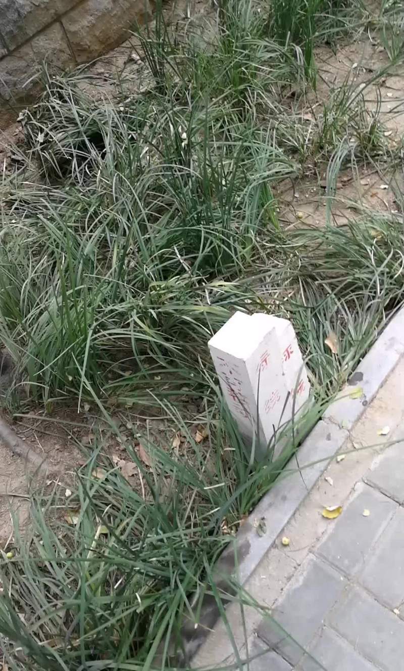 蜂蜜量大