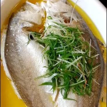 拉菲黄鱼