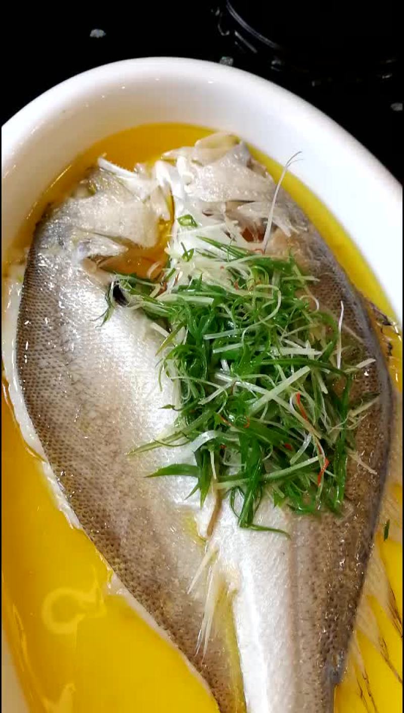 拉菲黄鱼