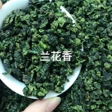 铁观音