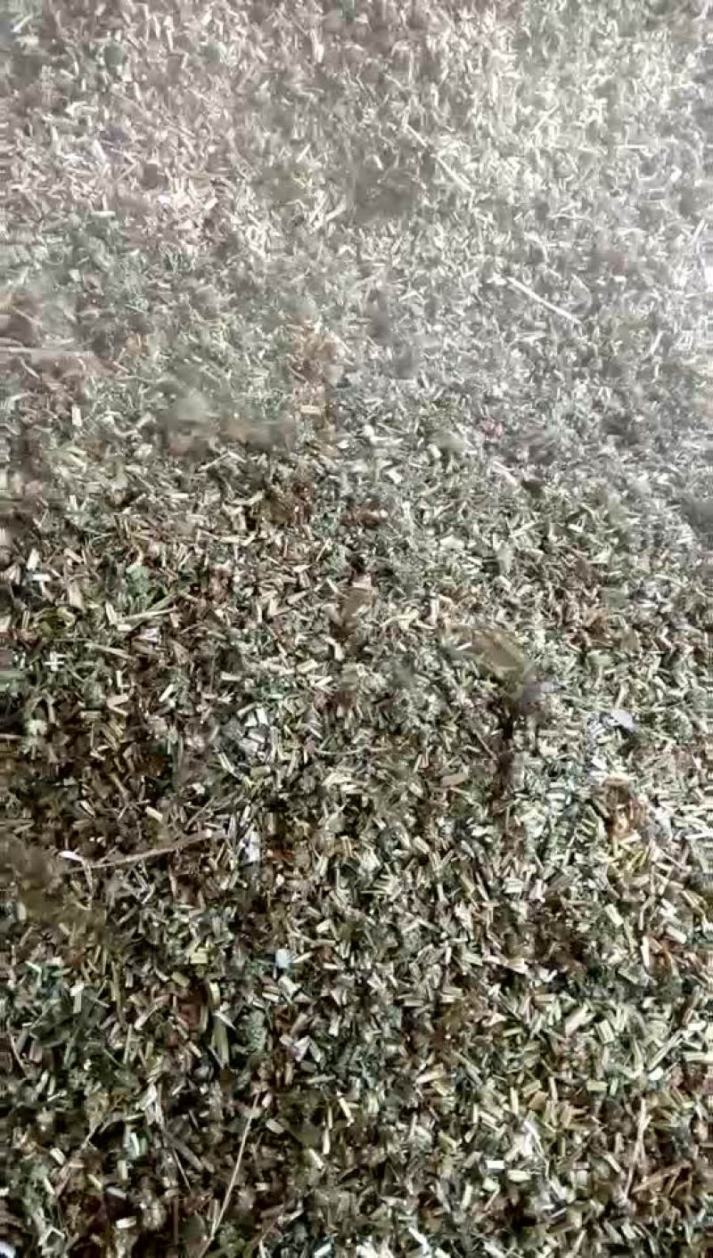 汉莲草，个子片子大货