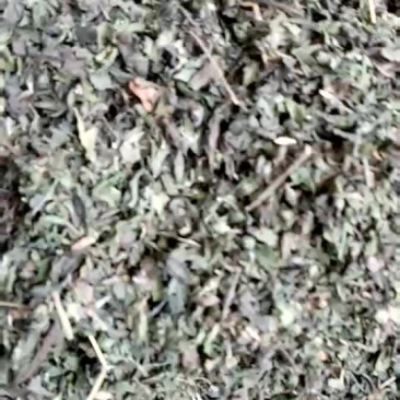汉莲草，个子片子大货