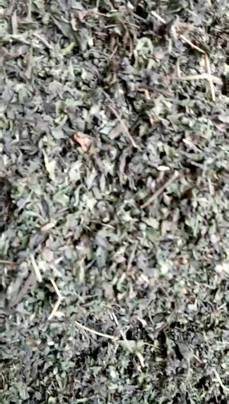 汉莲草，个子片子大货