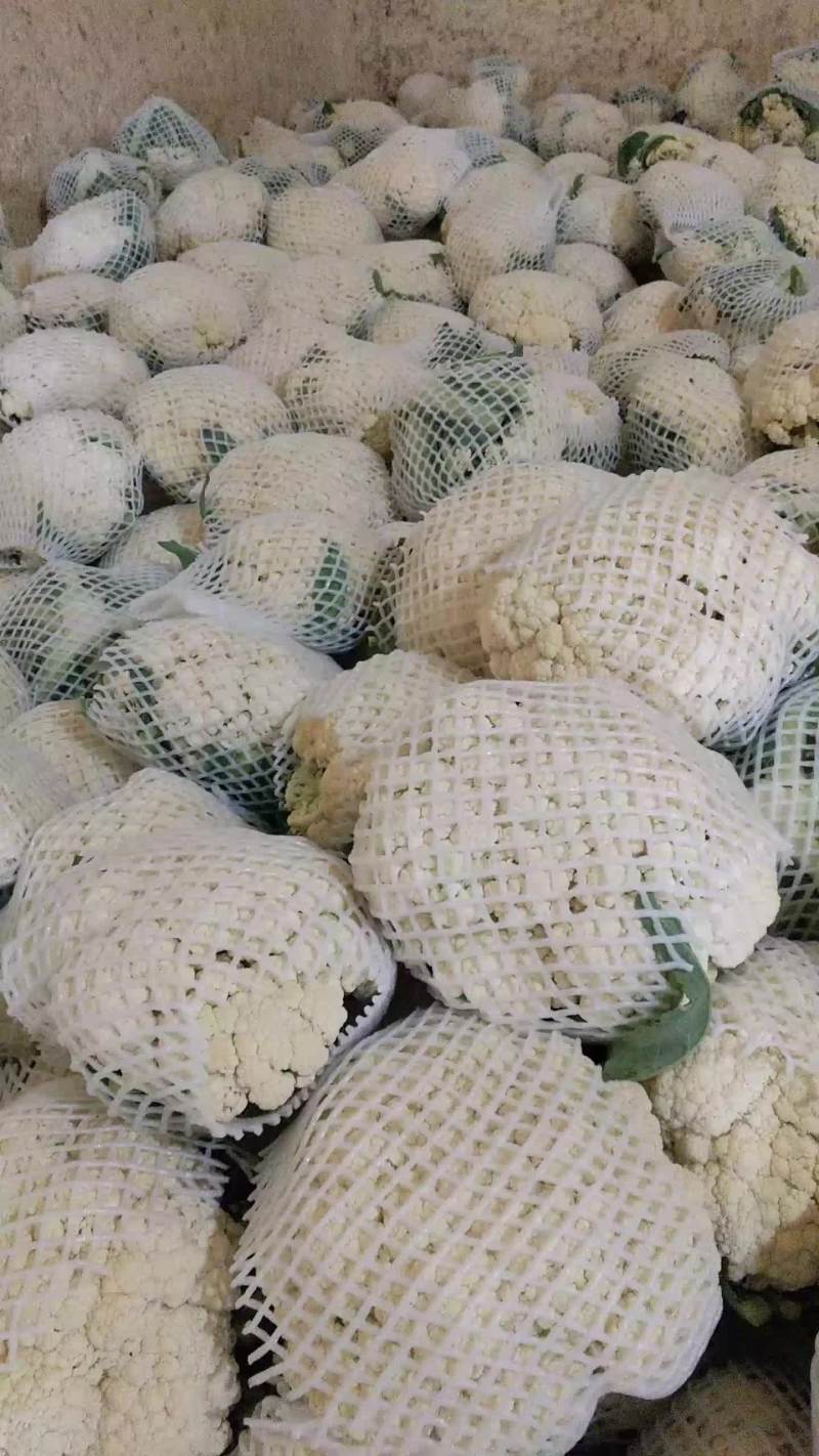 菜花