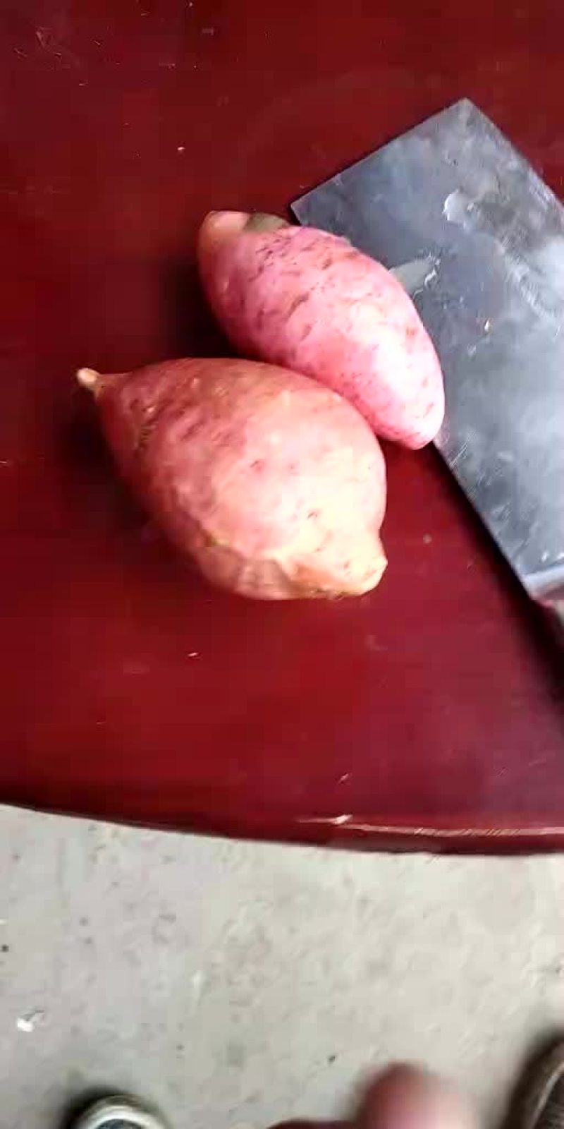 烟薯25大量出售