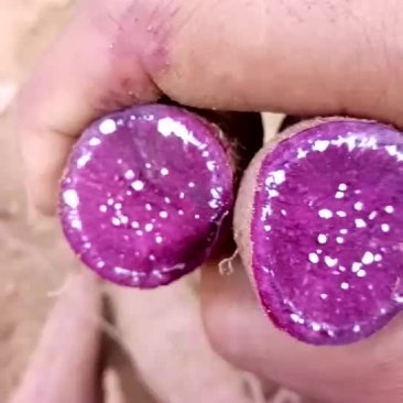 红薯