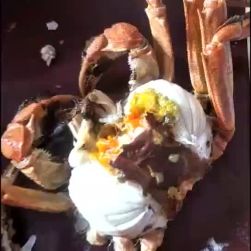 螃蟹