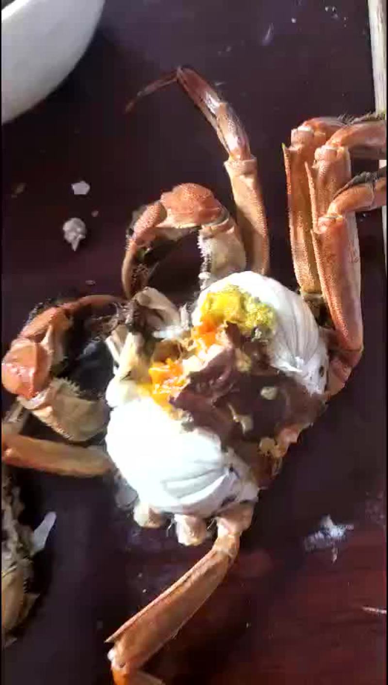 螃蟹