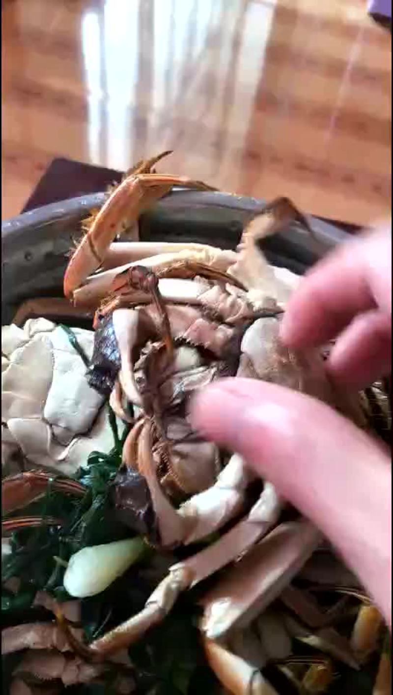 螃蟹
