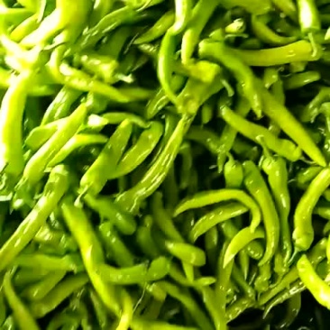 鲜辣椒