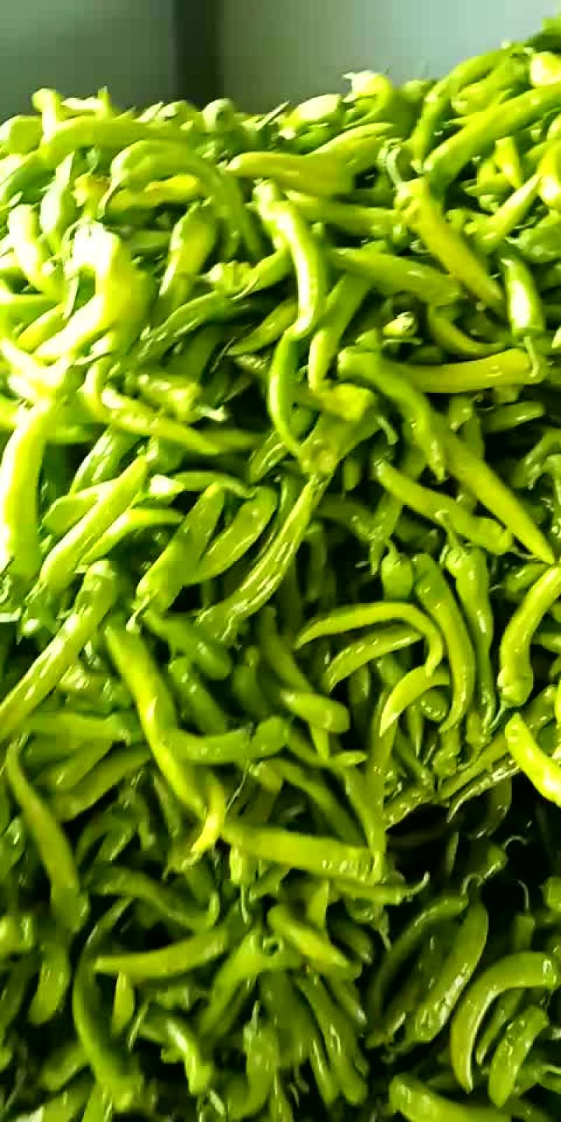 鲜辣椒