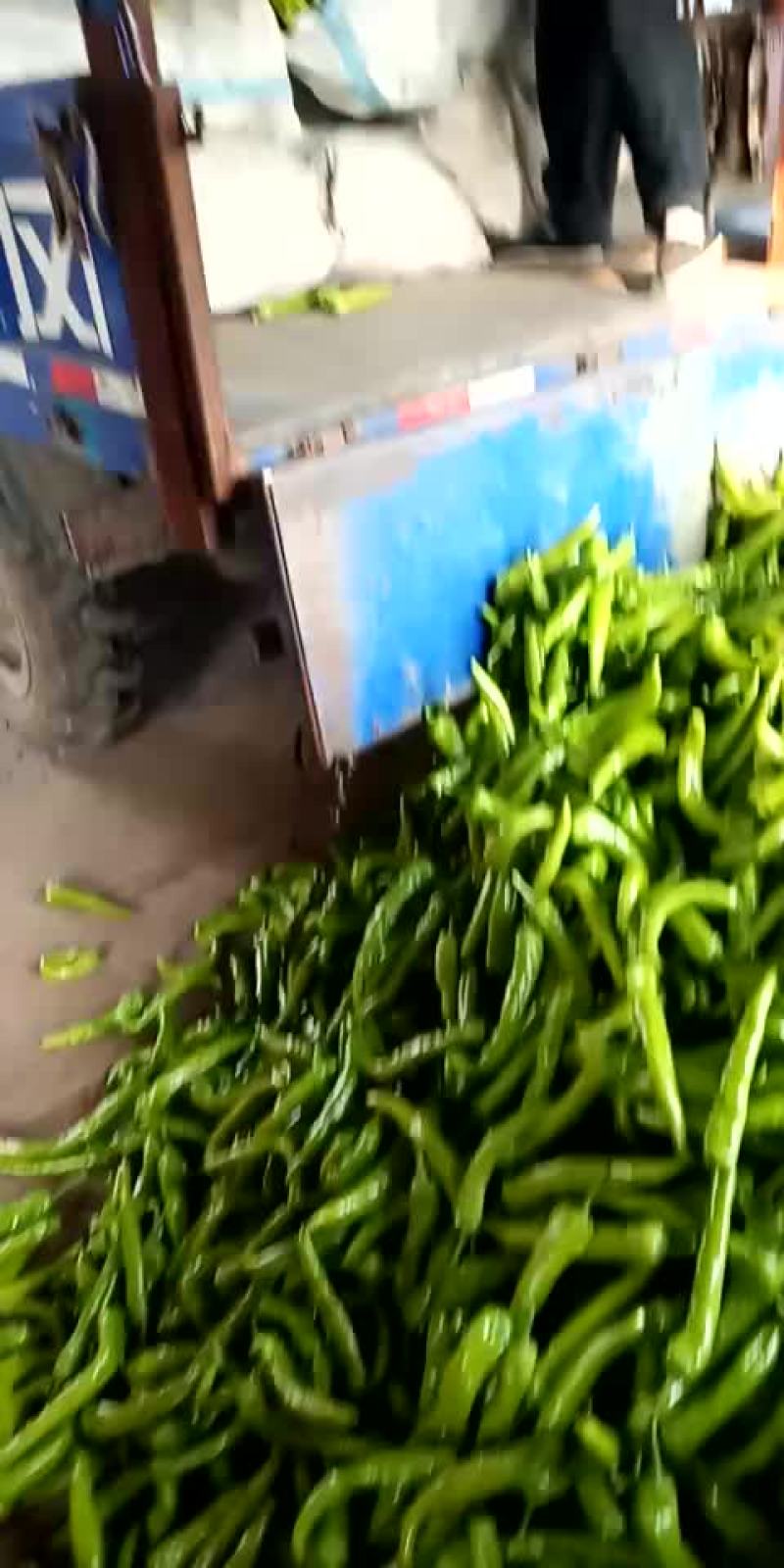 鲜辣椒