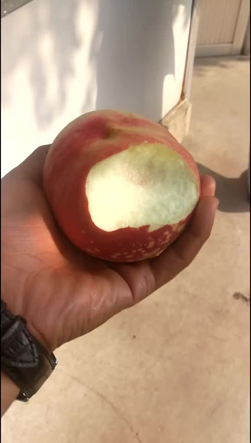 映霜红蜜桃