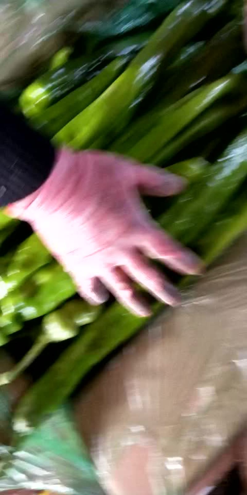 尖椒
