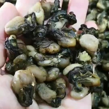 蚝干，海蛎干