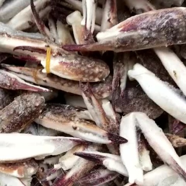 梭子蟹，蟹钳，