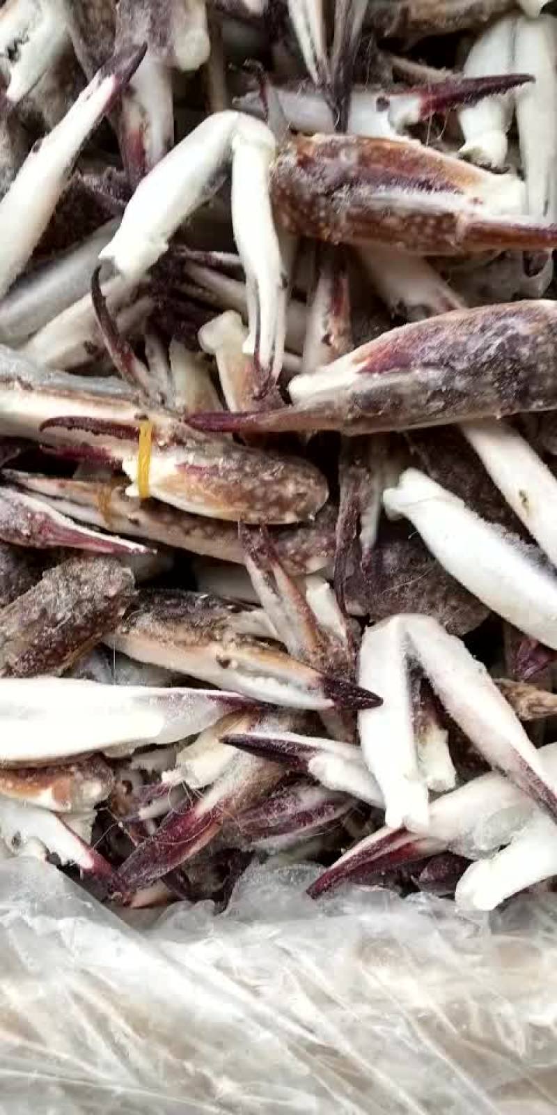 梭子蟹，蟹钳，