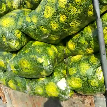 黄心菜，