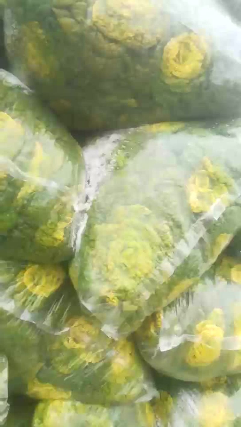 黄心菜
