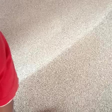 出售小麦