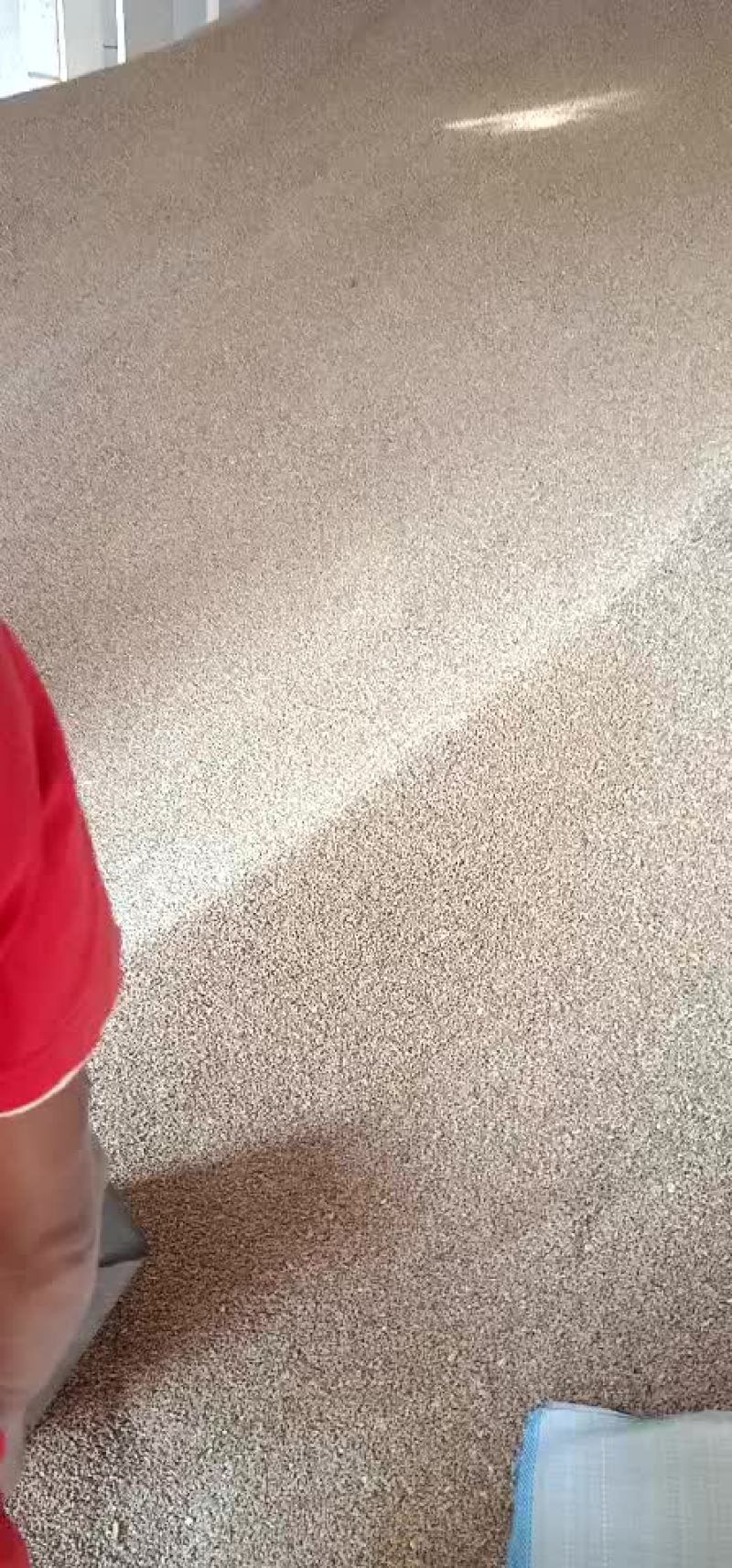 出售小麦