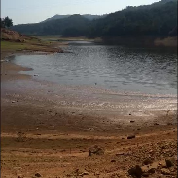 禽畜牧蛋肉