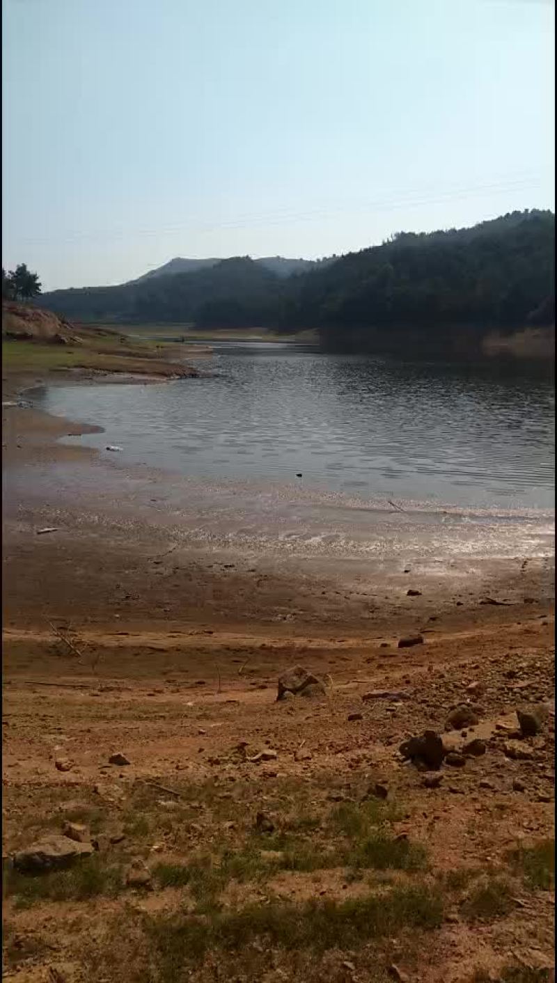 禽畜牧蛋肉