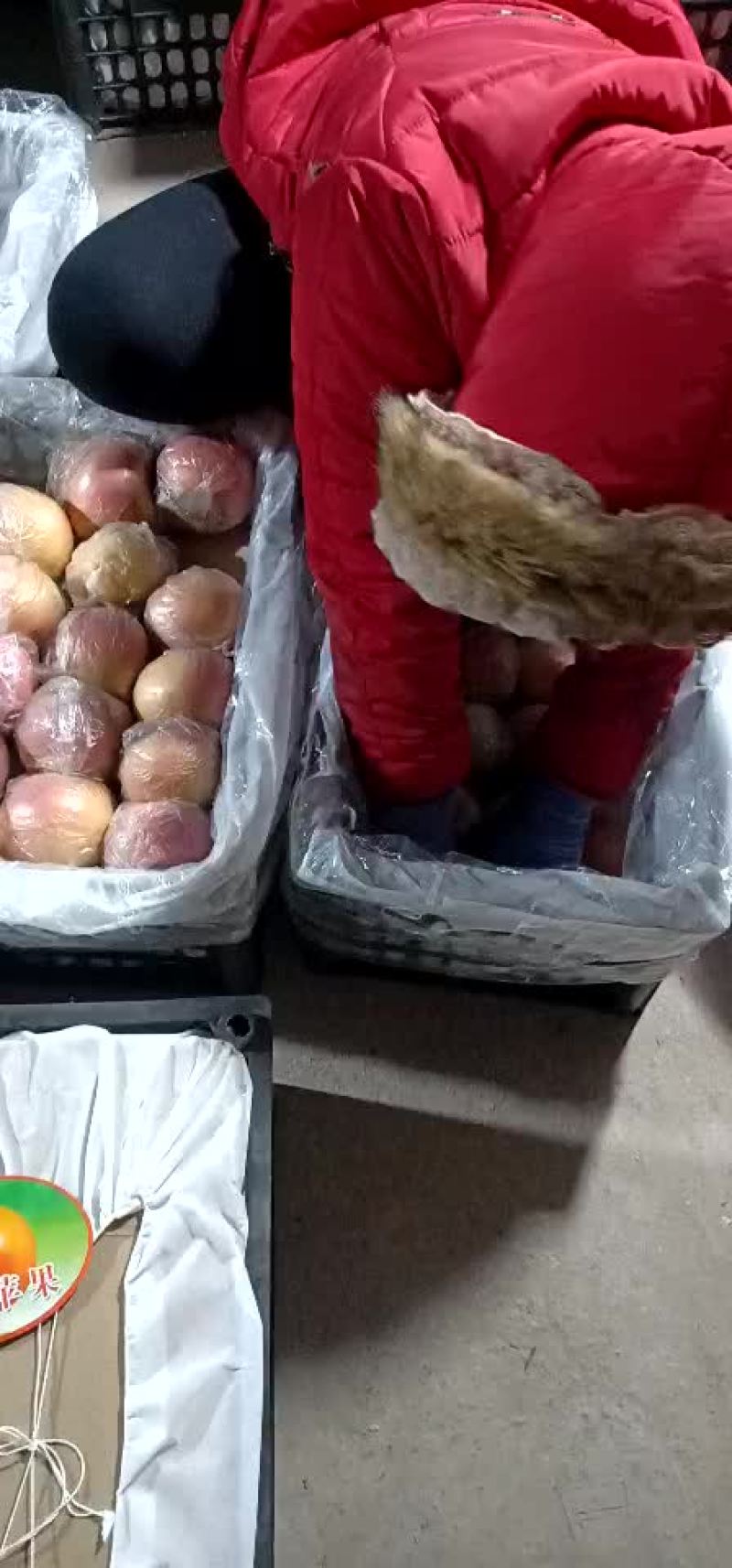 库存萍果