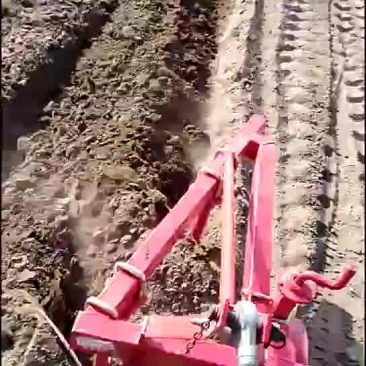 220铧梨，各种型号铧梨。
