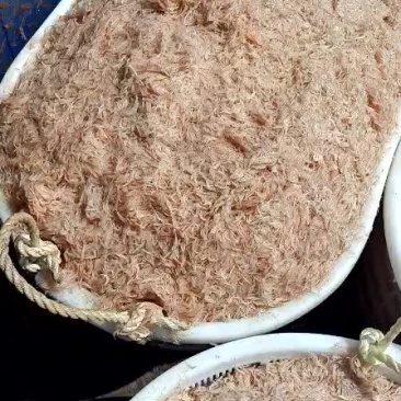 粤海天然虾皮鲜货头数大