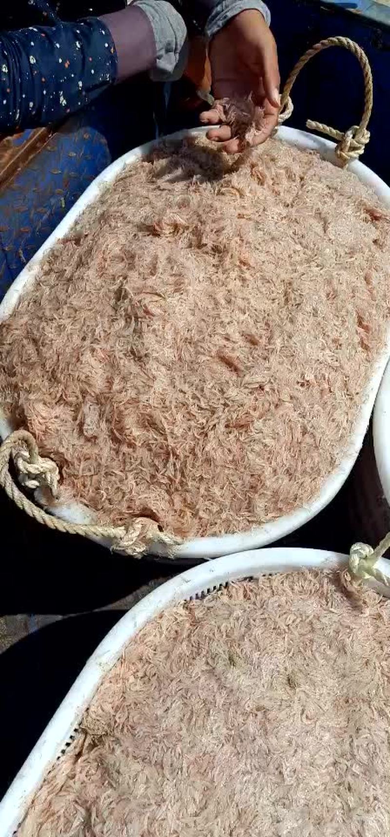 粤海天然虾皮鲜货头数大