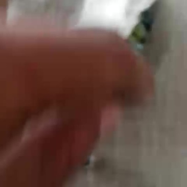 南瓜仁