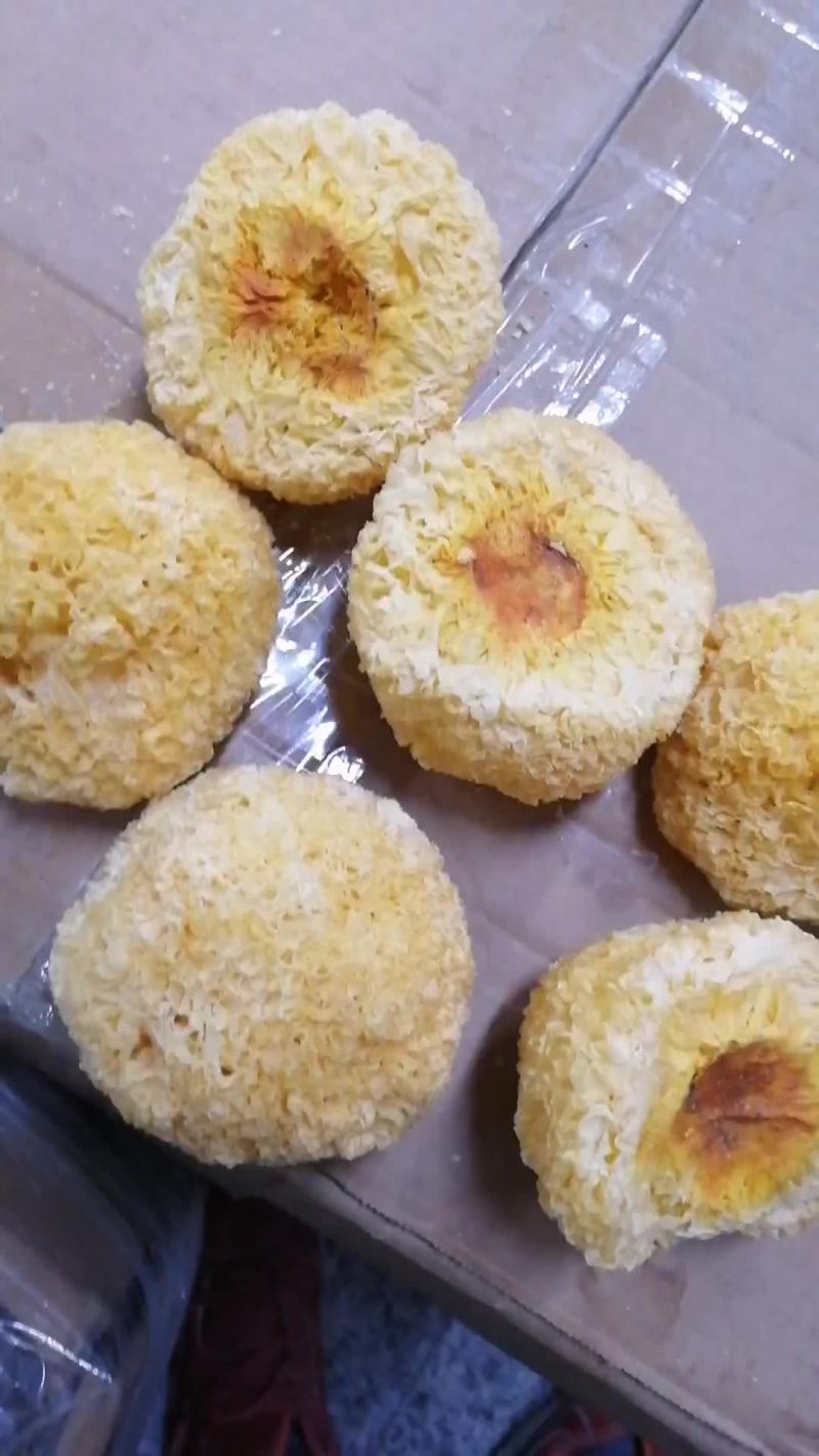 雪耳。银耳