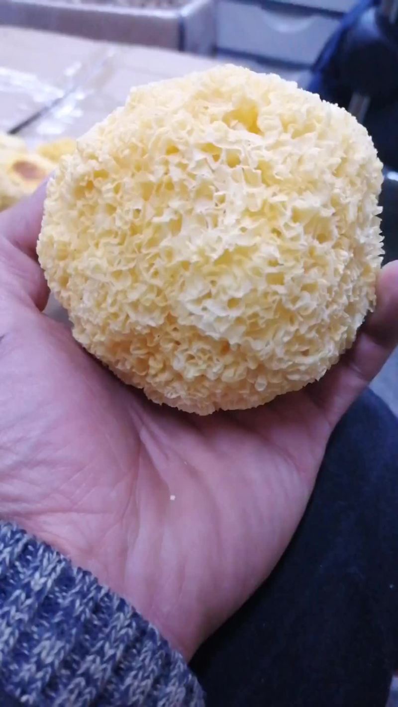 雪耳。银耳