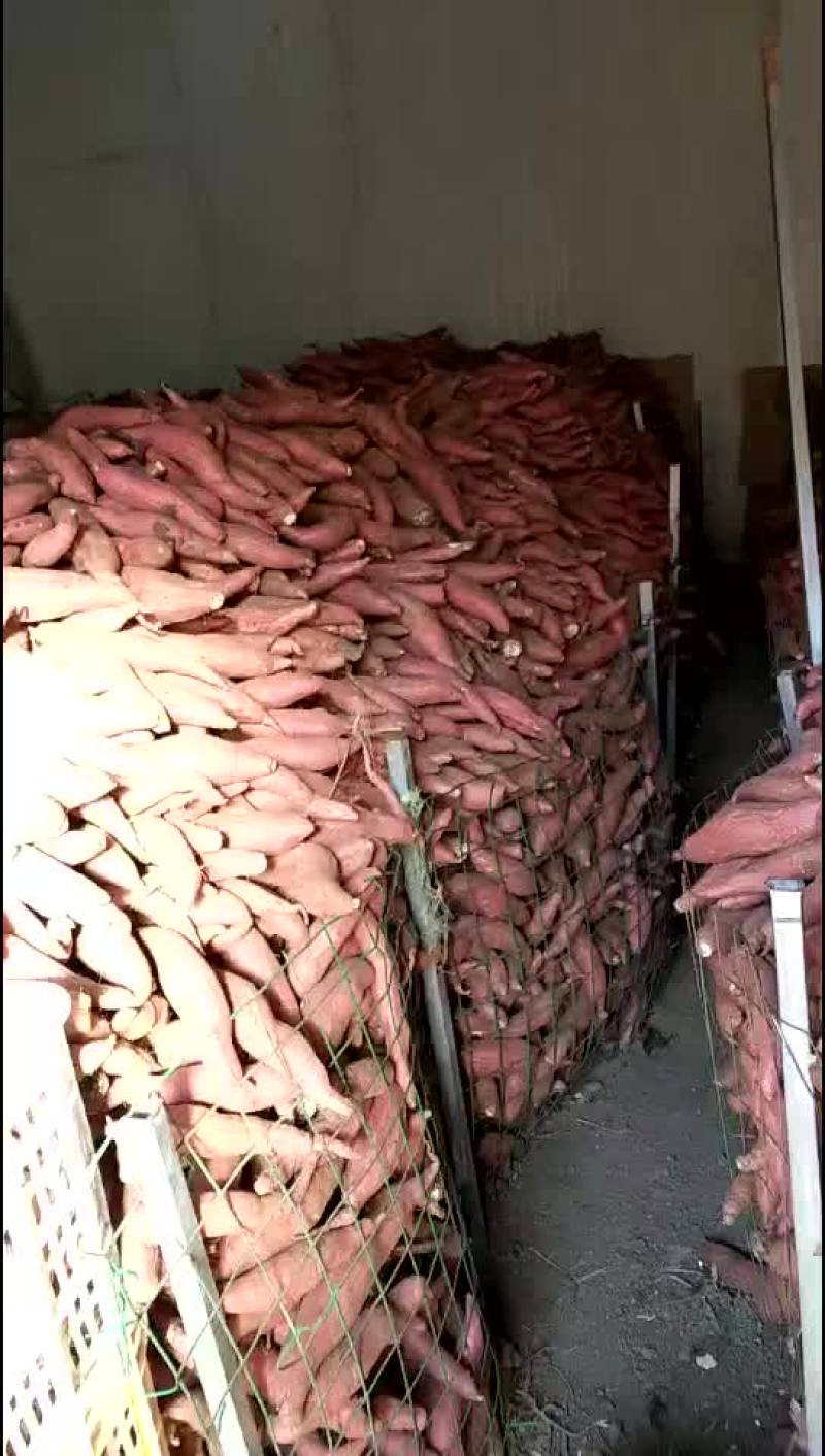 四两到一斤八