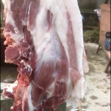 生态养殖