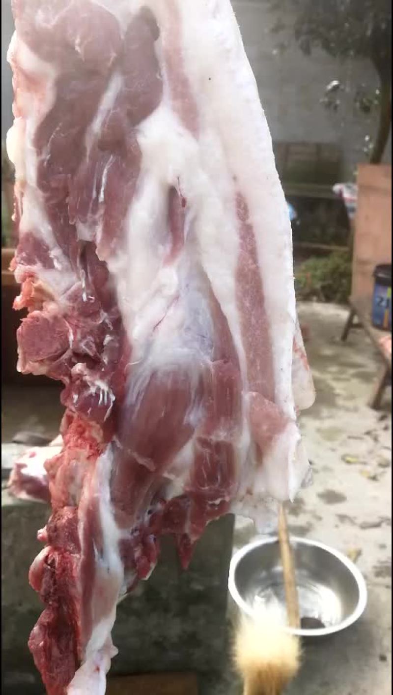 生态养殖