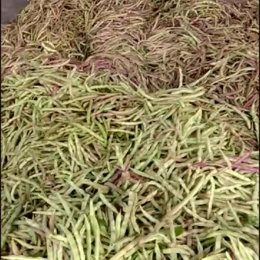 豆角