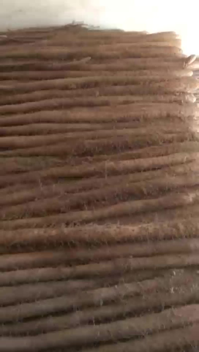 大量供应白玉山药