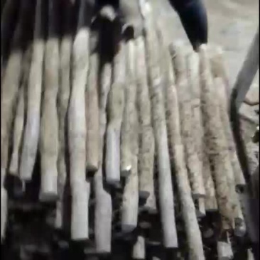 山药，