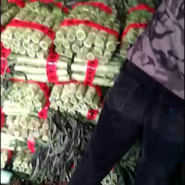 莴苣大量上市！