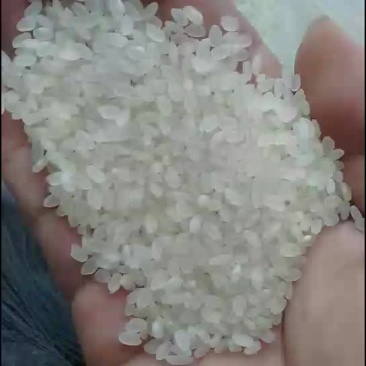 大米