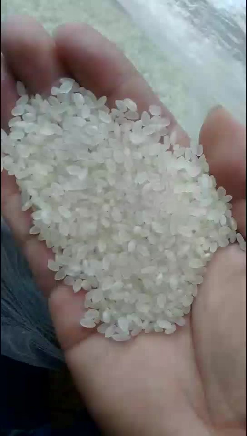 大米