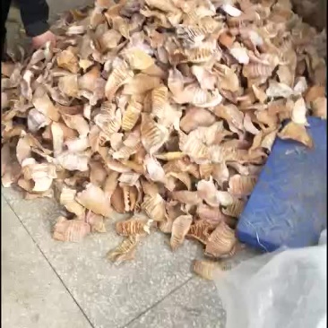 水煮笋干