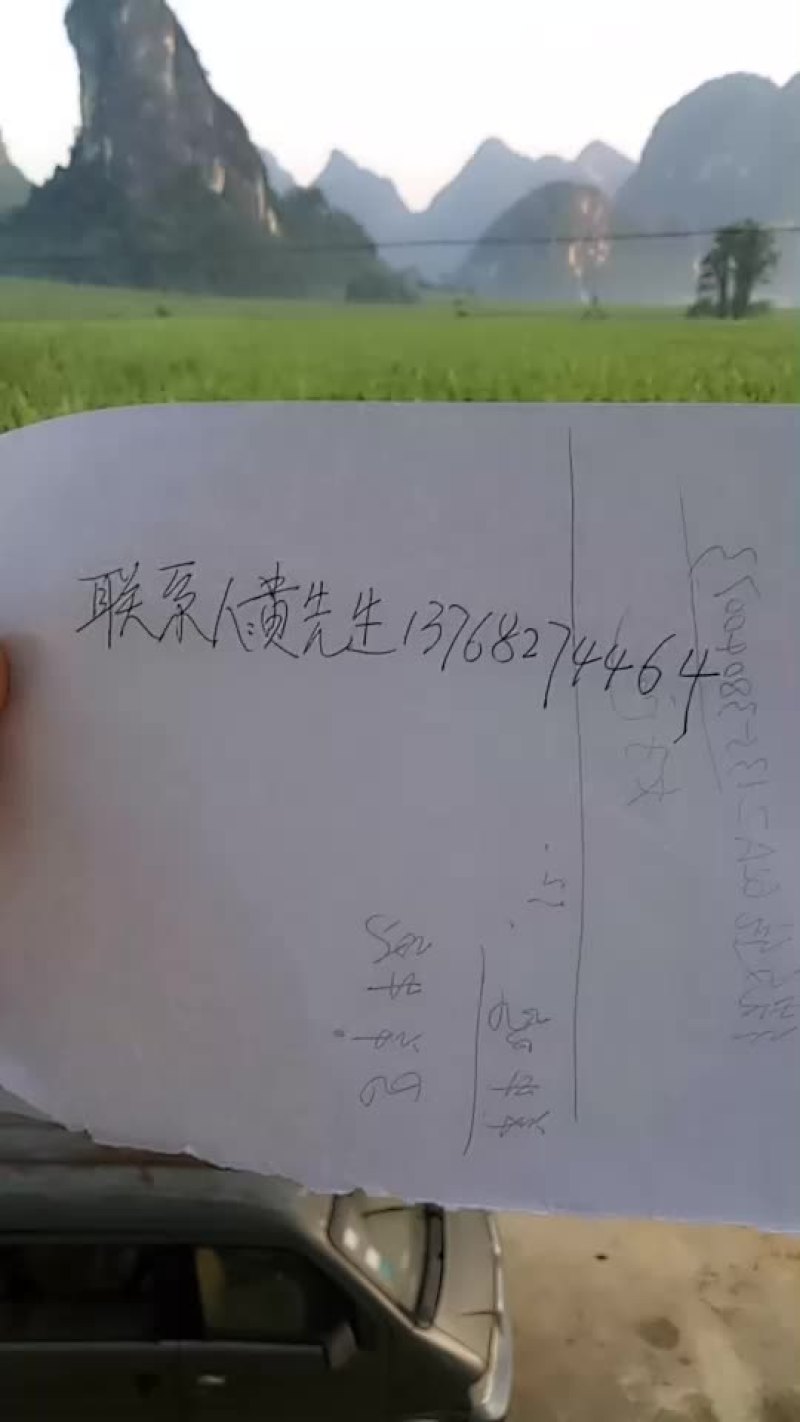 广西崇左市龙州县300亩地出租可种香蕉