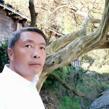 紫薇