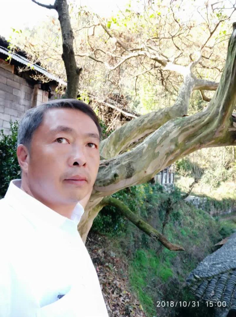 紫薇