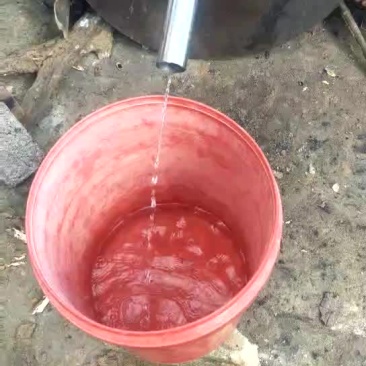 纯酿玉米酒农家自烤酒无任何添加剂