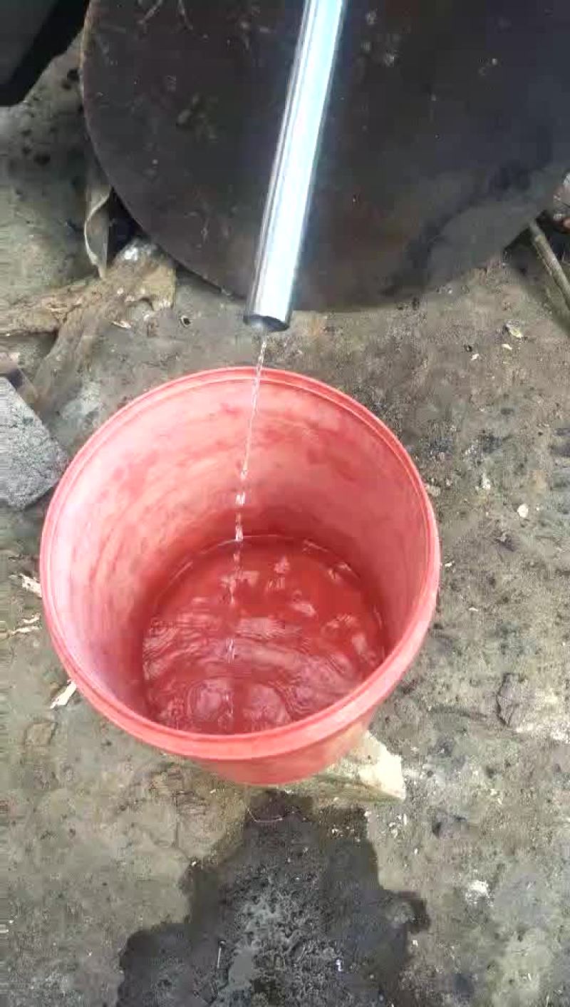 纯酿玉米酒农家自烤酒无任何添加剂