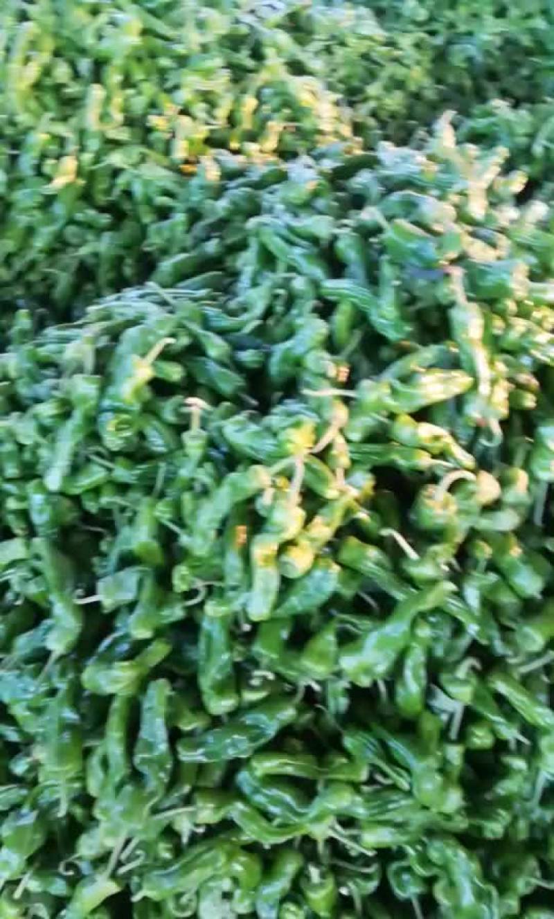 精品辣椒